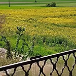 Appartamento Borostyán