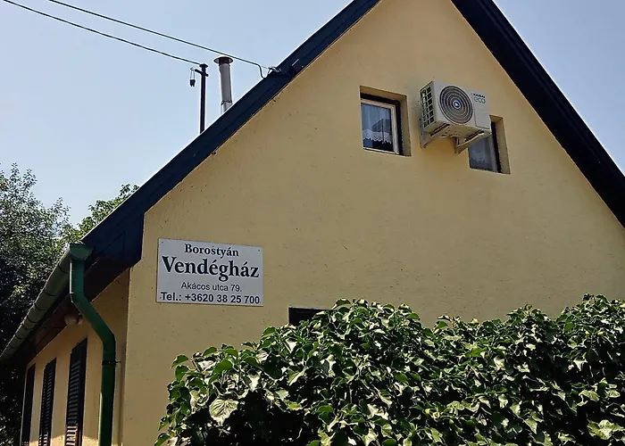 Апартаменты Borostyan Vendeghaz Dunasziget